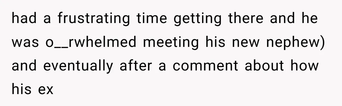 had a frustrating time getting there and he was o__rwhelmed meeting his new nephew) and eventually after a comment about how his ex