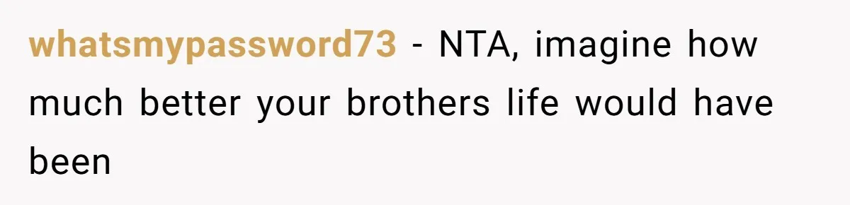 whatsmypassword73 − NTA, imagine how much better your brothers life would have been