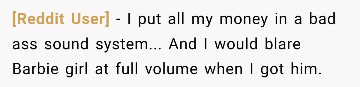 [Reddit User] - I put all my money in a bad ass sound system... And I would blare Barbie girl at full volume when I got him.