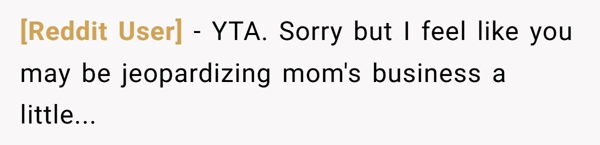[Reddit User] − YTA. Sorry but I feel like you may be jeopardizing mom's business a little...