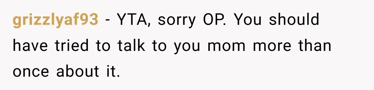 grizzlyaf93 − YTA, sorry OP. You should have tried to talk to you mom more than once about it.