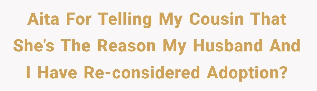 AITA For Telling My Cousin That She's The Reason My Husband And I Have Re-Considered Adoption?