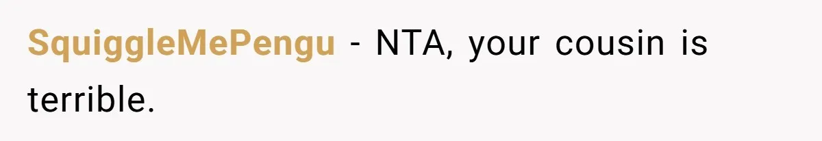 SquiggleMePengu − NTA, your cousin is terrible.