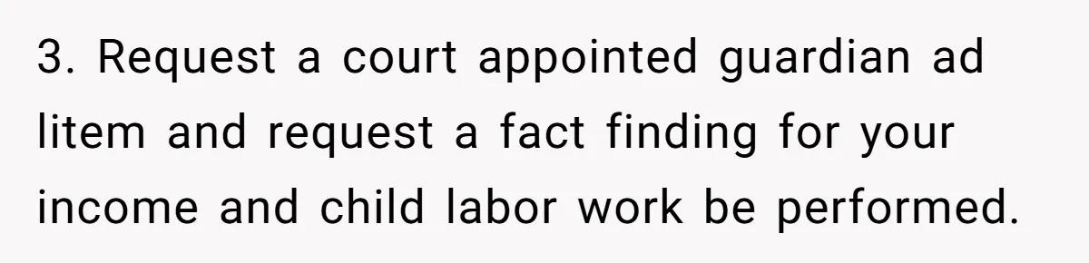 3. Request a court appointed guardian ad litem and request a fact finding for your income and child labor work be performed.