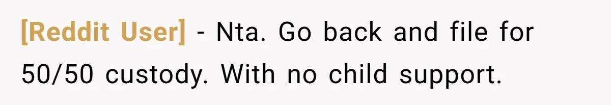 [Reddit User] − Nta. Go back and file for 50/50 custody. With no child support.