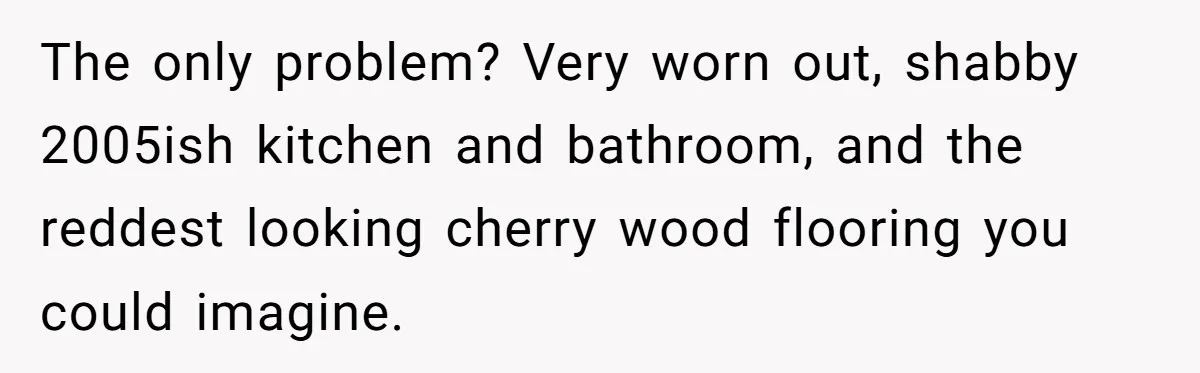 The only problem? Very worn out, shabby 2005ish kitchen and bathroom, and the reddest looking cherry wood flooring you could imagine.