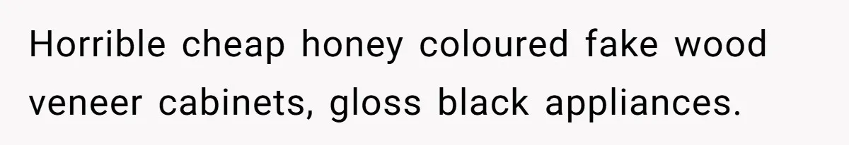 Horrible cheap honey coloured fake wood veneer cabinets, gloss black appliances.