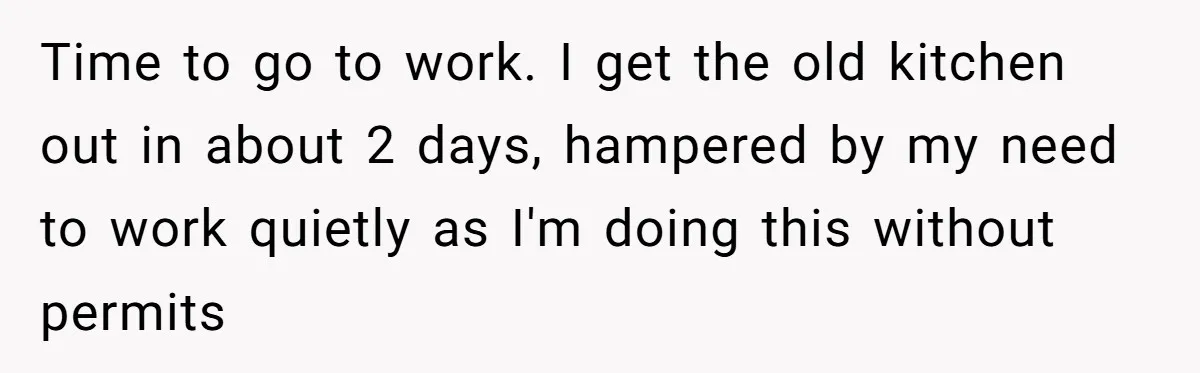 Time to go to work. I get the old kitchen out in about 2 days, hampered by my need to work quietly as I'm doing this without permits