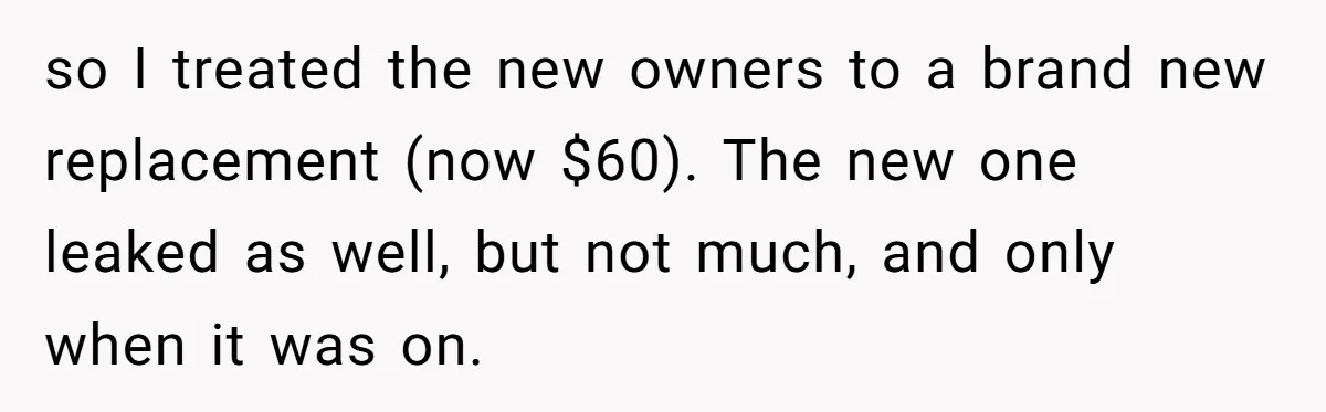 so I treated the new owners to a brand new replacement (now $60). The new one leaked as well, but not much, and only when it was on.