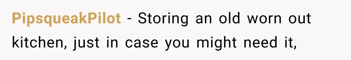 PipsqueakPilot − Storing an old worn out kitchen, just in case you might need it,