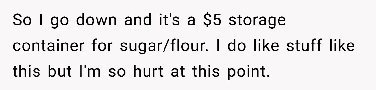 So I go down and it's a $5 storage container for sugar/flour. I do like stuff like this but I'm so hurt at this point.