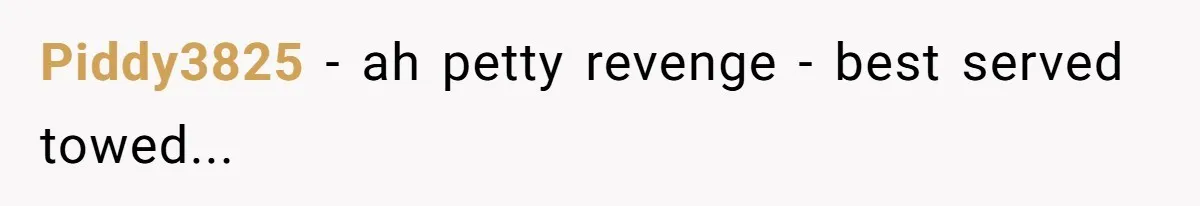 Piddy3825 − ah petty revenge - best served towed...