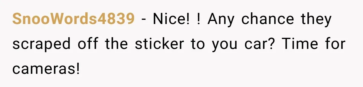 SnooWords4839 − Nice! ! Any chance they scraped off the sticker to you car? Time for cameras!