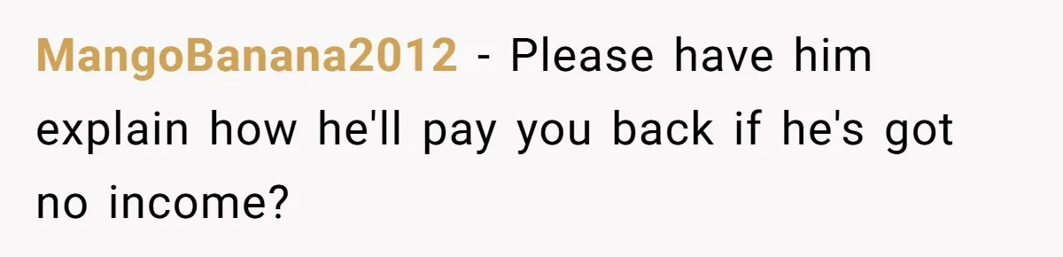 MangoBanana2012 − Please have him explain how he'll pay you back if he's got no income?
