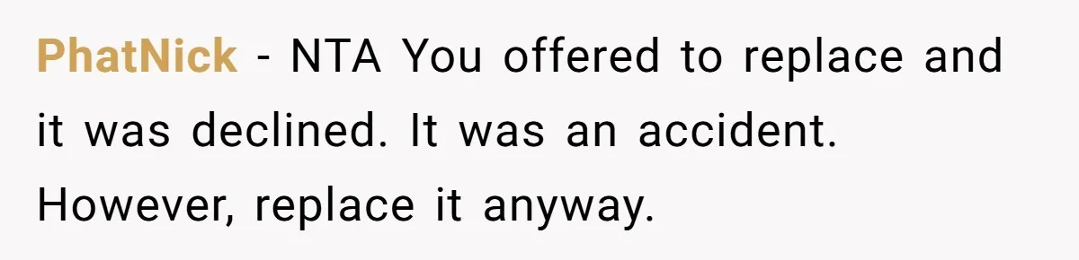PhatNick − NTA You offered to replace and it was declined. It was an accident. However, replace it anyway.