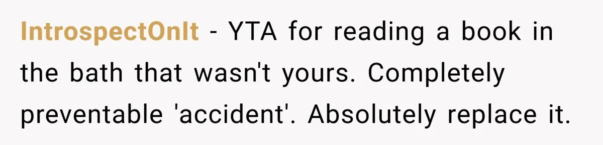 IntrospectOnIt − YTA for reading a book in the bath that wasn't yours. Completely preventable 'accident'. Absolutely replace it.
