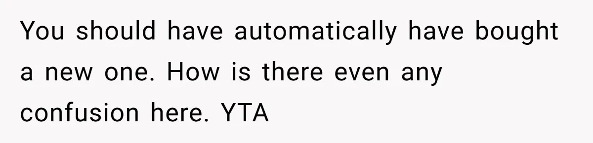You should have automatically have bought a new one. How is there even any confusion here. YTA