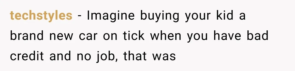 techstyles − Imagine buying your kid a brand new car on tick when you have bad credit and no job, that was