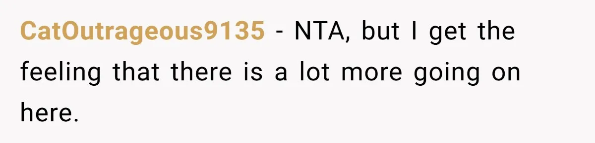CatOutrageous9135 − NTA, but I get the feeling that there is a lot more going on here.