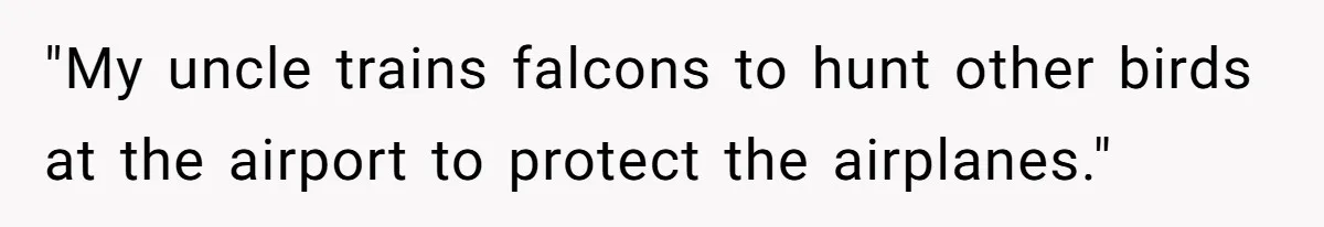 "My uncle trains falcons to hunt other birds at the airport to protect the airplanes."