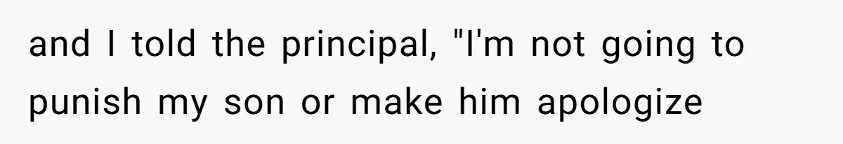 and I told the principal, "I'm not going to punish my son or make him apologize