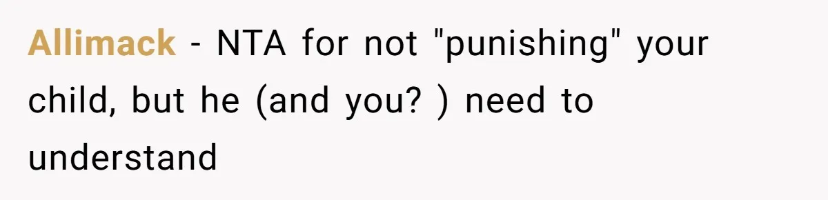 Allimack − NTA for not "punishing" your child, but he (and you? ) need to understand