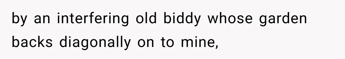 by an interfering old biddy whose garden backs diagonally on to mine,