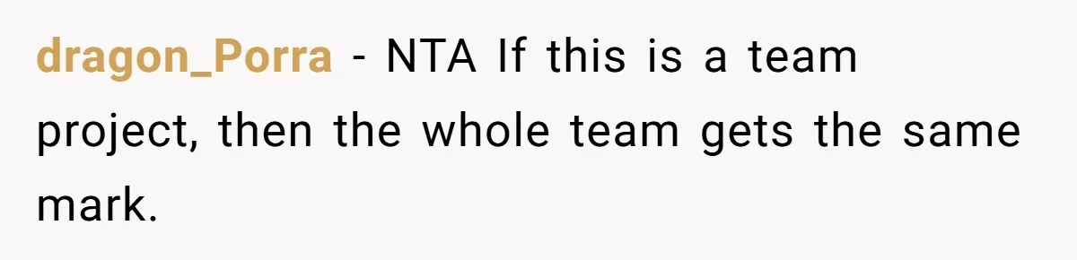 dragon_Porra − NTA If this is a team project, then the whole team gets the same mark.