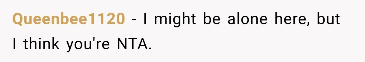 Queenbee1120 − I might be alone here, but I think you're NTA.