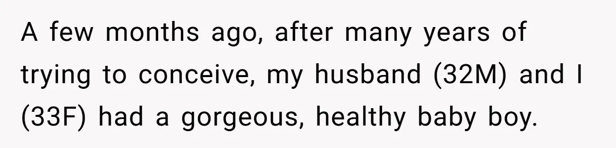 A few months ago, after many years of trying to conceive, my husband (32M) and I (33F) had a gorgeous, healthy baby boy.