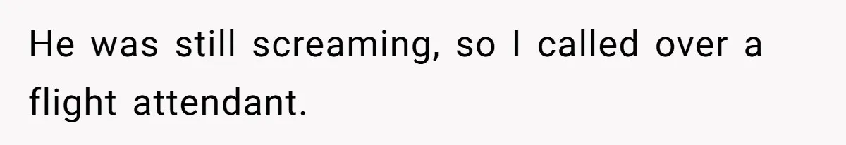 He was still screaming, so I called over a flight attendant.