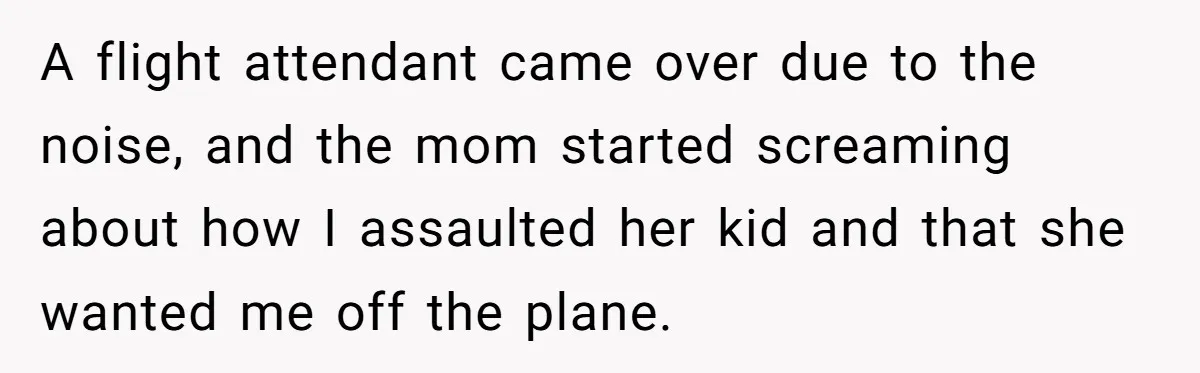 A flight attendant came over due to the noise, and the mom started screaming about how I assaulted her kid and that she wanted me off the plane.