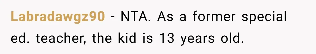 Labradawgz90 − NTA. As a former special ed. teacher, the kid is 13 years old.