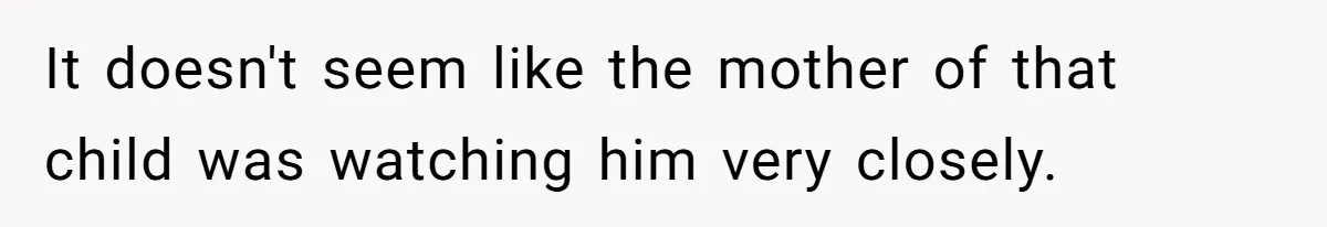 It doesn't seem like the mother of that child was watching him very closely.