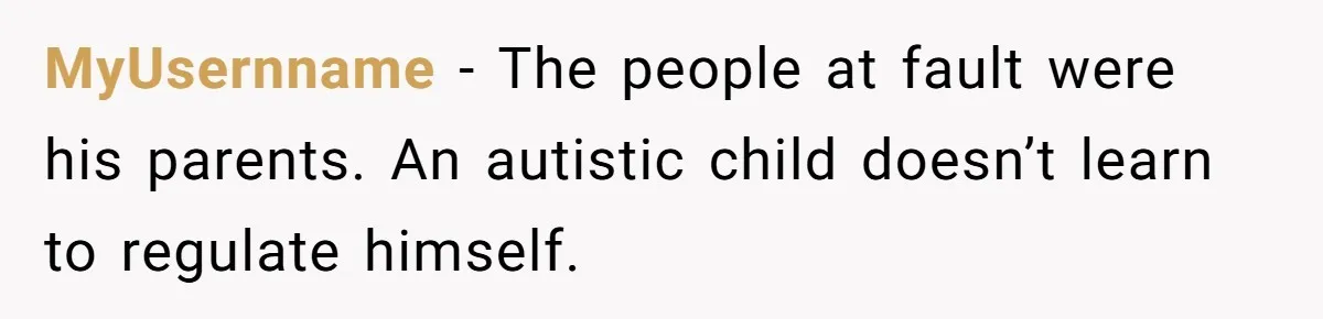 MyUsernname − The people at fault were his parents. An autistic child doesn’t learn to regulate himself.