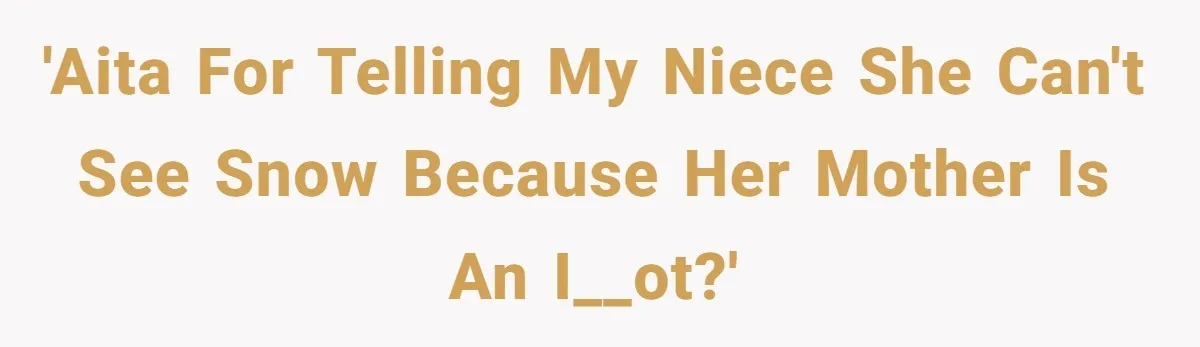 'AITA for telling my niece she can't see snow because her mother is an i__ot?'
