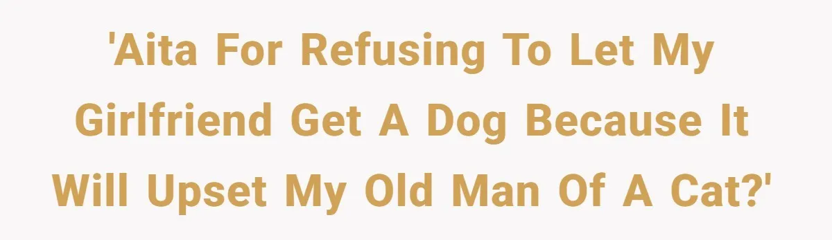 'AITA for refusing to let my girlfriend get a dog because it will upset my old man of a cat?'