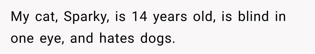 My cat, Sparky, is 14 years old, is blind in one eye, and hates dogs.