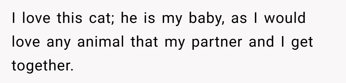 I love this cat; he is my baby, as I would love any animal that my partner and I get together.