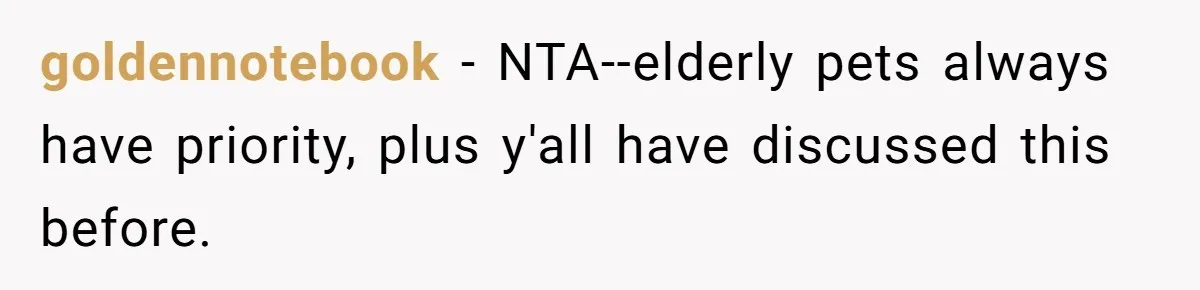goldennotebook − NTA--elderly pets always have priority, plus y'all have discussed this before.