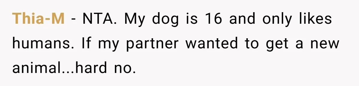 Thia-M − NTA. My dog is 16 and only likes humans. If my partner wanted to get a new animal...hard no.