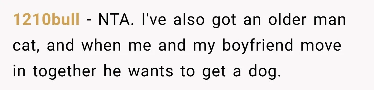 1210bull − NTA. I've also got an older man cat, and when me and my boyfriend move in together he wants to get a dog.