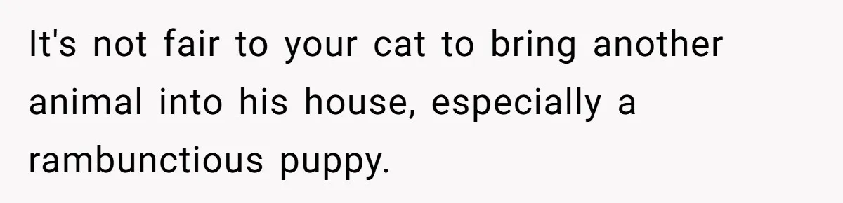 It's not fair to your cat to bring another animal into his house, especially a rambunctious puppy.
