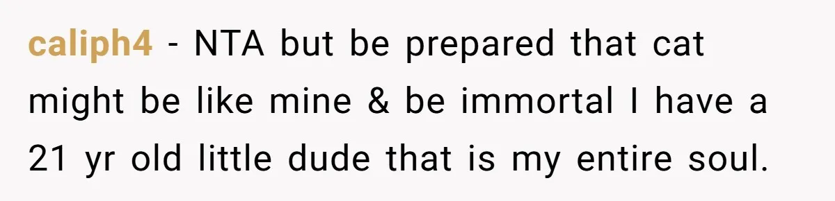 caliph4 − NTA but be prepared that cat might be like mine & be immortal I have a 21 yr old little dude that is my entire soul.