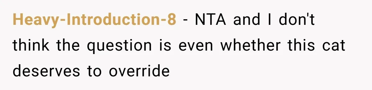 Heavy-Introduction-8 − NTA and I don't think the question is even whether this cat deserves to override