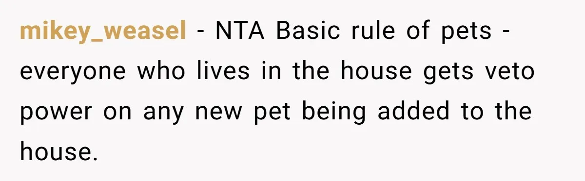 mikey_weasel − NTA Basic rule of pets - everyone who lives in the house gets veto power on any new pet being added to the house.