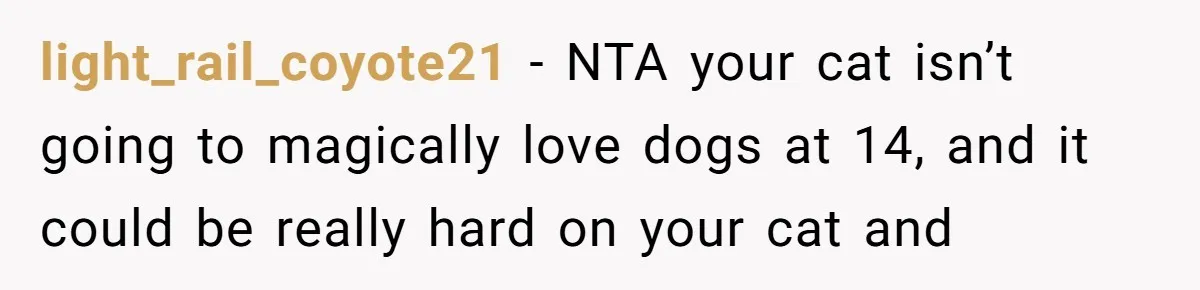 light_rail_coyote21 − NTA your cat isn’t going to magically love dogs at 14, and it could be really hard on your cat and