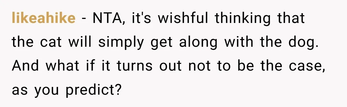 likeahike − NTA, it's wishful thinking that the cat will simply get along with the dog. And what if it turns out not to be the case, as you predict?