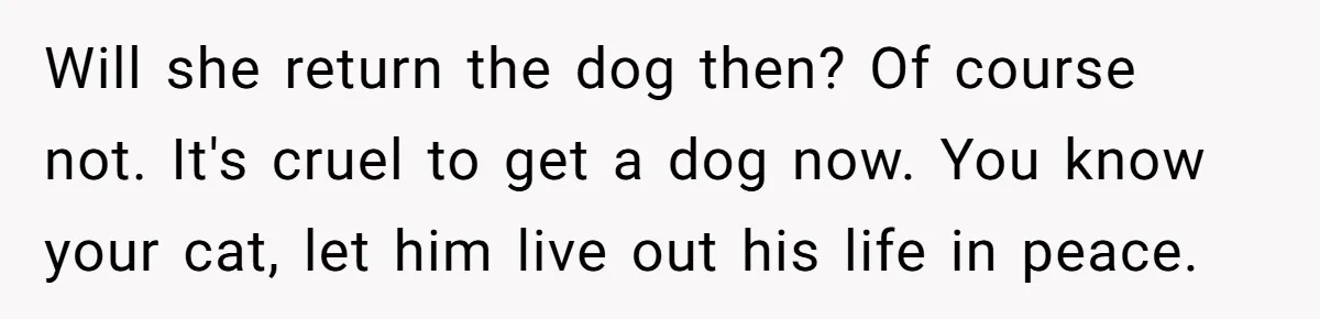 Will she return the dog then? Of course not. It's cruel to get a dog now. You know your cat, let him live out his life in peace.
