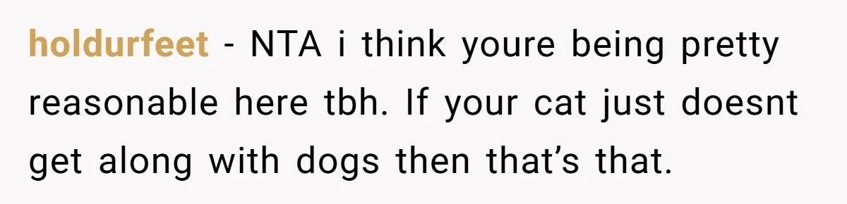 holdurfeet − NTA i think youre being pretty reasonable here tbh. If your cat just doesnt get along with dogs then that’s that.
